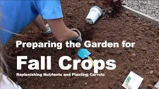 Fall Crop Planting | Prepping Garden Beds | Planting Carrots