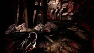 Mass Effect 2 - Terminus Armor and Blackstorm Singularity Projector Heavy Weapon.avi