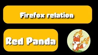 How firefox is related to red panda?? || #shorts