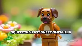 Dogface Explores the Enchanted Garden Maze