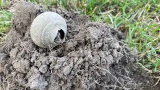 Metal Detecting Nz: Silver Coins, Jewellery and more&hellip;