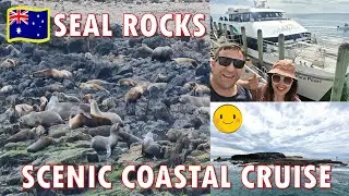 PHILLIP ISLAND SEAL CRUISE DEPARTS COWES JETTY + SEAL ROCK VIA WILDLIFE CRUISES @indaynamo