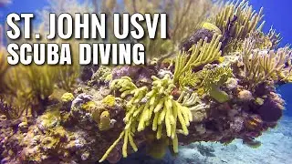 ST. JOHN, USVI Scuba Diving