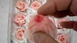Rose stabilizzate rosa stabilizzata Standard