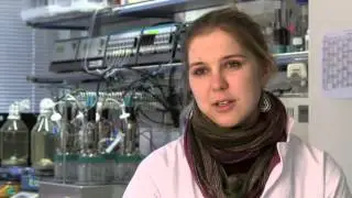 Estudiar en Alemania