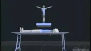 Endorphin - Best Flip Contest