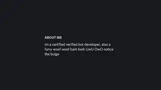 discord bio status nowadays