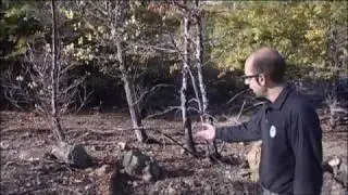 Amiata CO2