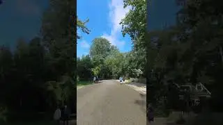 Summer Bike Tour through the Beautiful Vondelpark 🌳🚴&zwj;♂️