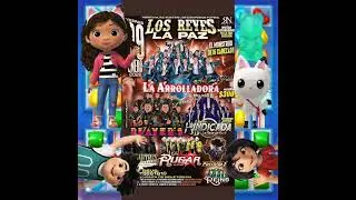 🧡@LosPlayersDeTuzantla1983💥 (351) La Arrolladora (04) Los Buitres (05) Patrulla 81 (11) 3 Grupos