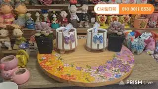 #다사랑다육 010 8811 6530 카드가능  1월16일  금요일방송  #다육이 #화분 라이브 보고가세요