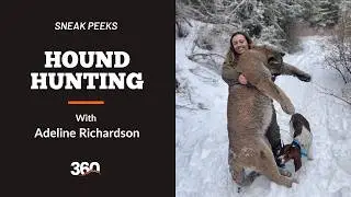 Hound Hunting: Dog Training Commands