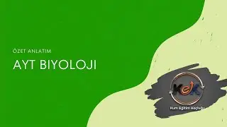 DUYU ORGANLARI