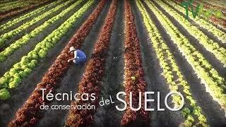 Cómo cuidar y Preservar los Suelos Honduras - TVAgro [Colombia]