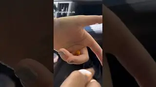 Cheetos moth - Cute Moth Alert!!