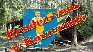 Leśne okolice Koszęcina.