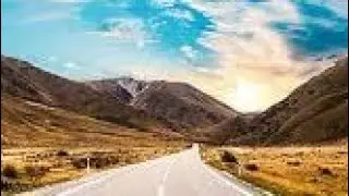 16 RoseGaming Road Forest 20