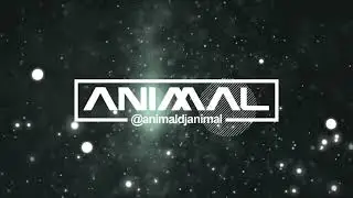 SOPETEO 3   DJ ANIMAL