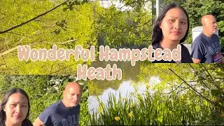 We take a wonderful walk over Hampstead Heath