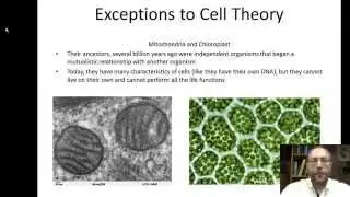 levels of organization and cell theory
