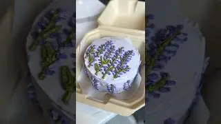 Decorating a ✨KOREAN LUNCH BOX CAKE✨ in NYC #cake #nyc #korean
