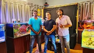 -Madurai's first aquarium gallery -FILIAL AQUATICS ‼️ -| SAFIQ'S THOUGHT |