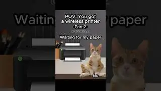 CAT MEMES 🐱 YOU GOT A WIRELESS PRINTER #relatable #cat #funny #printer #shorts