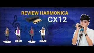MZone Music: Review c&acirc;y k&egrave;n Harmonica CX12 Gold I MZone Music& Coffee House