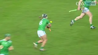 Gearoid Hegarty, Limerick, PwC GAA/GPA Player of the Year Nominations