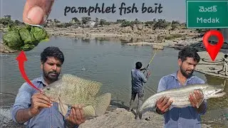 Kanjal se pamphlet machli ka shikar Tilapia fish bite 