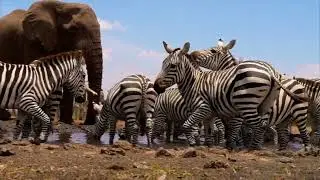Ol Donyo - Luxury Kenya Lodge with unforgettable service and sights