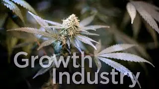 A Growth Industry at UConn | UConn