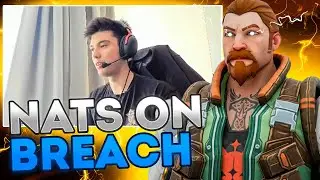nAts trying Breach on Lotus | Liquid nAts