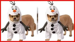 Rubie's Disney Frozen 2 Olaf Pet Costume