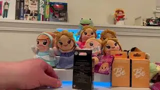 Disney Parks Ultimate Princess Celebration Wishables and Disney Pins.