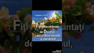 CINTARI PT SUFLET (1)
