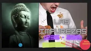 Dhammapada - Capitulo 18 con audio (Capitulo de Impurezas)
