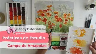 Campo de Amapolas 🎨💛 (summer poppy field)