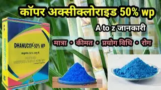 Copper Oxychloride 50% wp Fungicide | Complete information | dhanucop fungicide, blue copper syng...