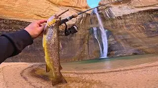Trout Fishing a WATERFALL in the DESERT!! (Catch, Cook, & Camp)
