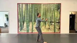 Tai Chi #2:  Ward Off Left, Ward Off Right