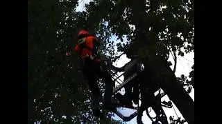 BSTCC 2021, Hummuli Manor park, T&otilde;rva parish, Estonia. Ascent event.