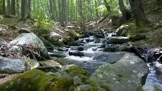 Vitusha Mountain April 2018 - Витоша планина април 2018 г.