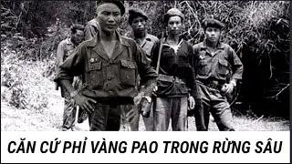 (8) Quy Luật Hoạt Động Của Bọn Phỉ Vàng Pao