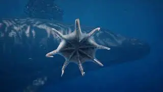 Ocean Water Material Showcase