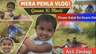  Dhaan Katai Ka Dusra Din | Real Village Vlog From Ground | Second Day of Paddy Harvesting | Village