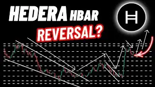 HBAR Coin Reversal? Huge Rally & Price Prediction!
