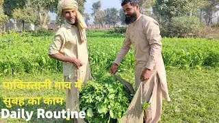 Amazing Village Life Routine at India Pakistan Border Zero Line Daily routine in village Life