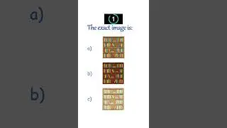 Exact Image Test: 14 #brainteasers #logicgames #riddles #quiz #education #learning #memory #test