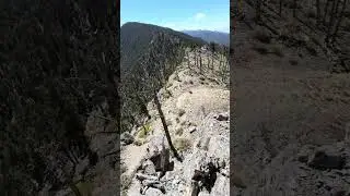 Willow Peak Adventure  Views of Mt  Charleston & Las Vegas Valley #shorts